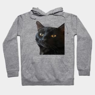 Black Cat With A Funny Quirky Expression Cut Out Hoodie